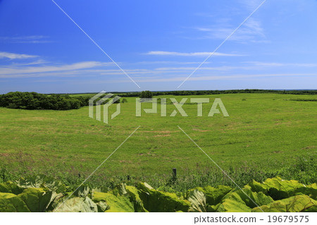 蓝天和大草原在7月北海道nishikidai地区的广阔的夏天风景 图库照片