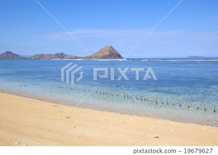 Tropical beach Tropical beach 19679627