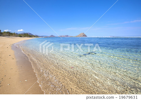 Tropical beach 19679631