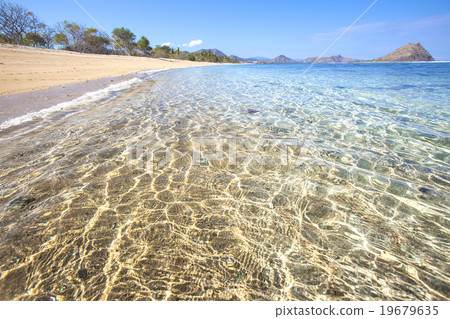 Tropical beach Tropical beach 19679635