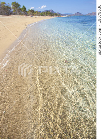 Tropical beach Tropical beach 19679636