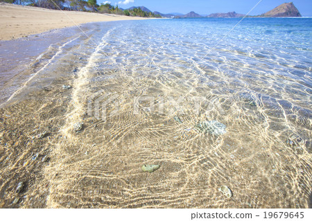 Tropical beach Tropical beach 19679645