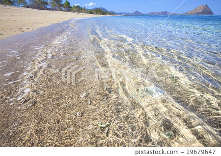 Tropical beach Tropical beach 19679647