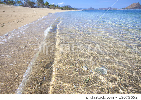 Tropical beach Tropical beach 19679652