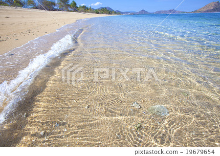 Tropical beach Tropical beach 19679654