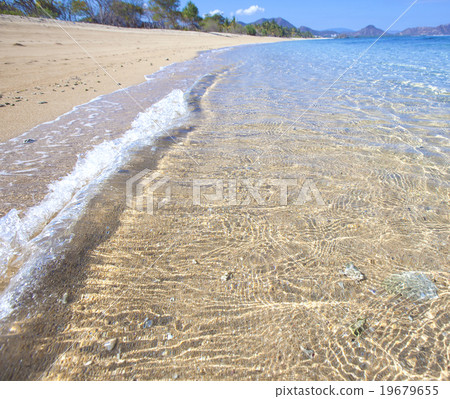 Tropical beach Tropical beach 19679655