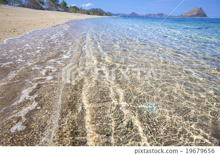 Tropical beach Tropical beach 19679656