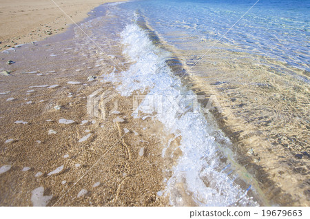 Tropical beach Tropical beach 19679663