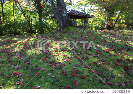 Higashiya in deciduous leaves 19680219