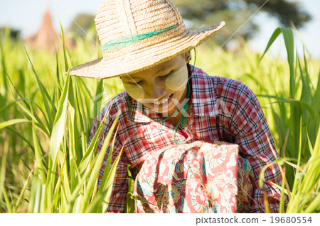 Young Asian Burmese female farmer Young Asian Burmese female farmer 19680554