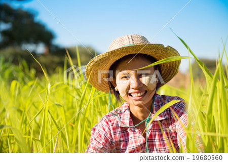 Young Myanmar female farmer 19680560