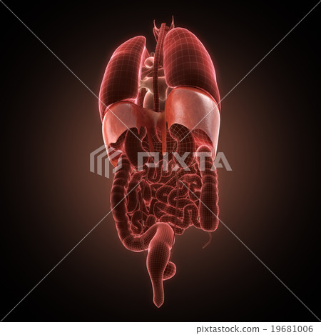 xray diaphragm organ 19681006