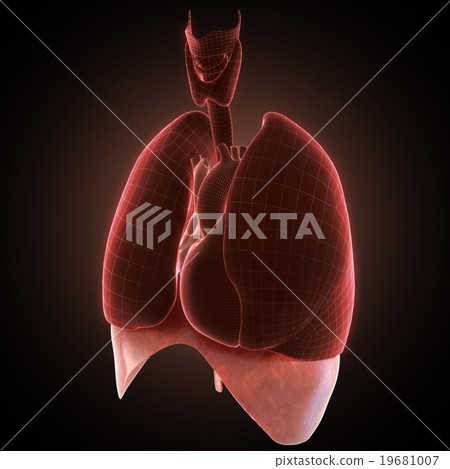 xray diaphragm organ 19681007