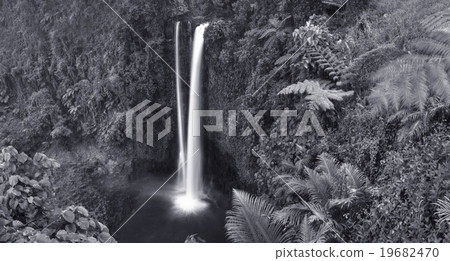 Waterfall Nature Scenics Waterfall Forest Concept Waterfall Nature Scenics Waterfall Forest Concept 19682470