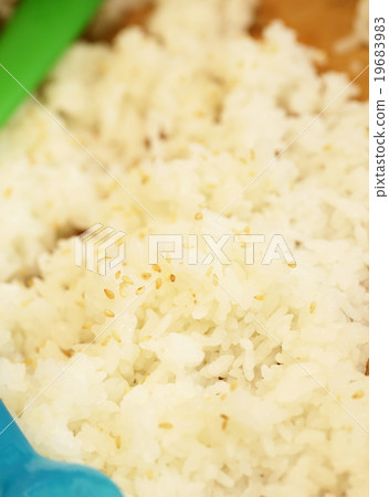 白米飯和白芝麻 白米飯和白芝麻 19683983