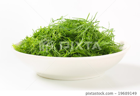 Fresh dill leaves 19689149