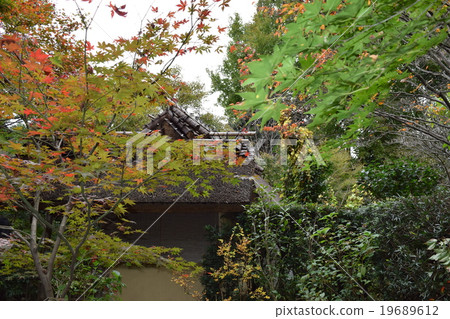 ENRI庵 ENRI庵 19689612