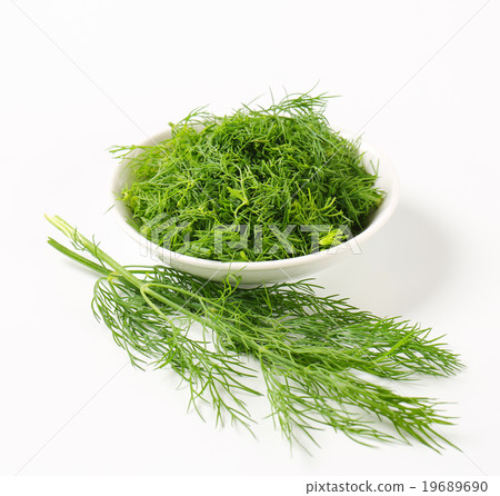 Fresh dill leaves 19689690
