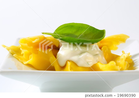 Stuffed pasta with cheese sauce Stuffed pasta with cheese sauce 19690390