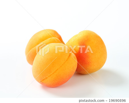 Fresh apricots Fresh apricots 19690896