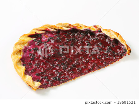 Blueberry tart 19691521