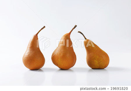 Ripe Bosc pears Ripe Bosc pears 19691820