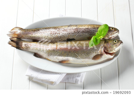 Fresh trouts 19692093