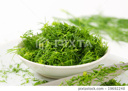 Fresh dill leaves 19692248