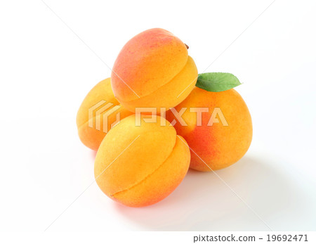 Fresh apricots 19692471