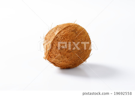 Fresh coconut fruit 19692558