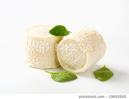 Crottins de Chevre cheese Crottins de Chevre cheese 19692688