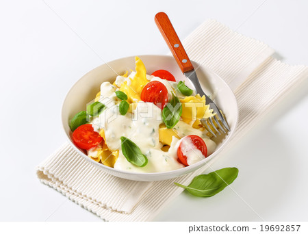 Stuffed pasta with cheese sauce 19692857