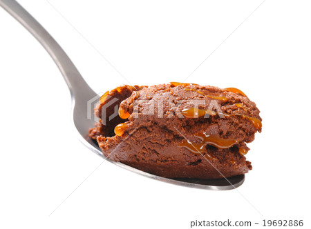 Chocolate ice cream Chocolate ice cream 19692886