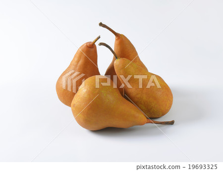 Ripe Bosc pears Ripe Bosc pears 19693325