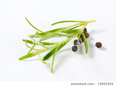 Culinary herb and black pepper Culinary herb and black pepper 19693364