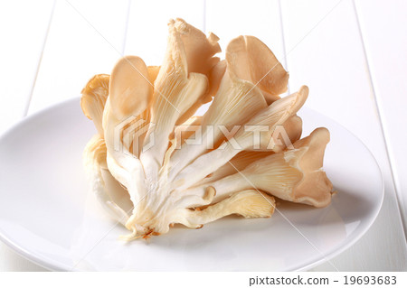 Fresh oyster mushrooms 19693683