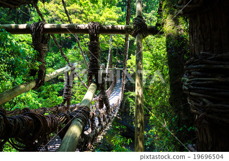 Kazura Bridge Kazura Bridge 19696504