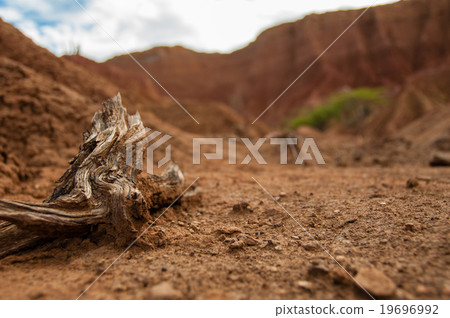 Closeup of wood branch on sand in hot dry desert Closeup of wood branch on sand in hot dry desert 19696992
