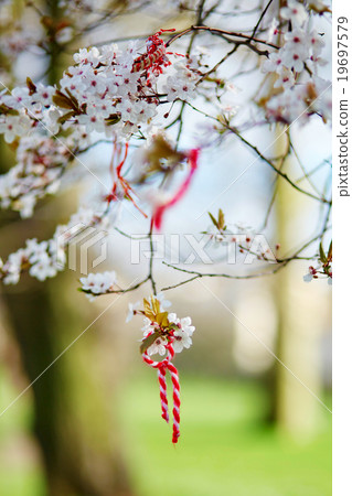 Martisor, symbol of spring 19697579