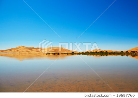 Oasis lake in Sahara desert, Merzouga, Africa 19697760