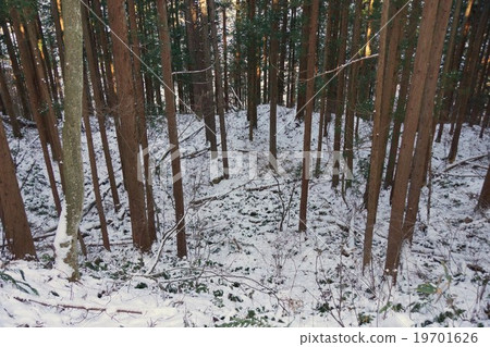 From the Shibu Onsen way to the Snow monkey Jigokudani From the Shibu Onsen way to the Snow monkey Jigokudani 19701626