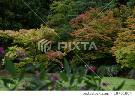 2015年Moga-ji寺初秋85 2015年Moga-ji寺初秋85 19701904