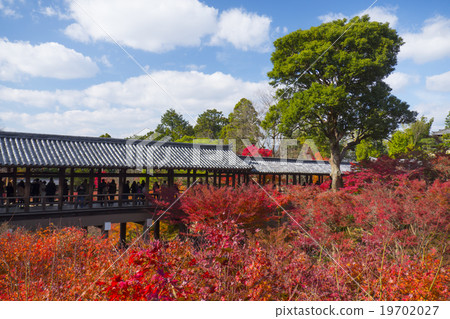 Autumnal Leaves Tonenbashi Tofukuji Autumnal Leaves Tonenbashi Tofukuji 19702027