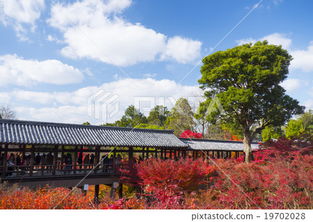 秋葉Tonenbashi Tofukuji 19702028