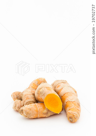 薑黃根莖：薑黃根莖 19702737