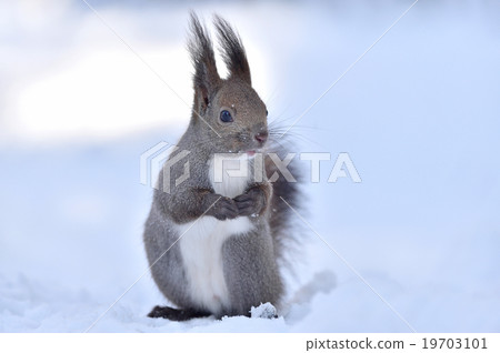 Ezolith in the snow 19703101