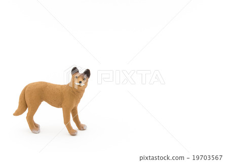 Toy Dingo: Toy Dingo Toy Dingo: Toy Dingo 19703567