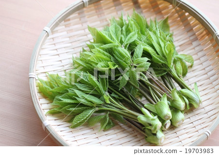 Kosi bra was taken Kosi bra was taken 19703983