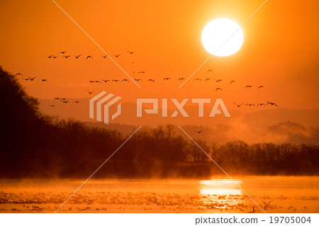 Flying rocks of Magan that flies with sunrise in Izu-numa where morning fog can be on 19705004