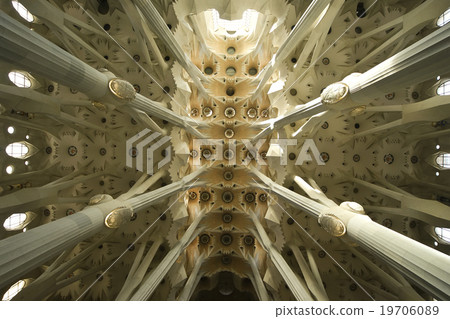 The ceiling of the Sagrada Familia in Barcelona 19706089
